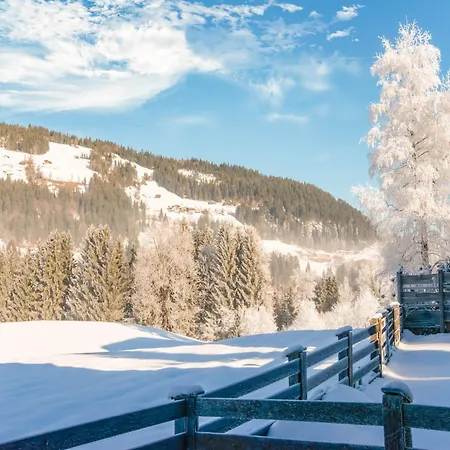 Apartment In Kirchberg Near Ski Slopes, Cleaning Included Lejlighed